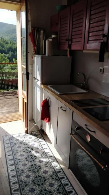 Maisonette En Cevennes Notre-Dame-de-la-Rouviere Luaran gambar