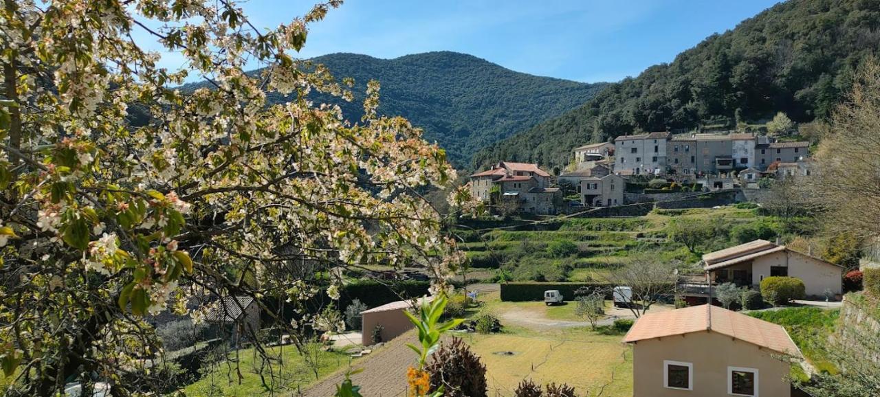 Maisonette En Cevennes Notre-Dame-de-la-Rouviere Luaran gambar